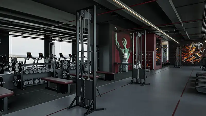 Image 7